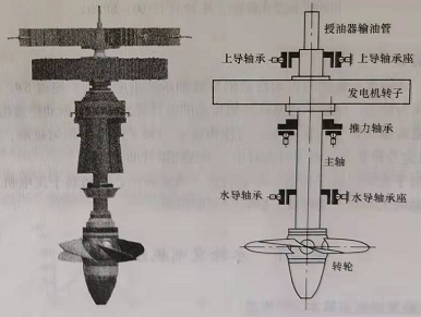 水轮发电机组结构特点